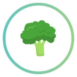broccoli_5 superfoods article food icons 300x300.png