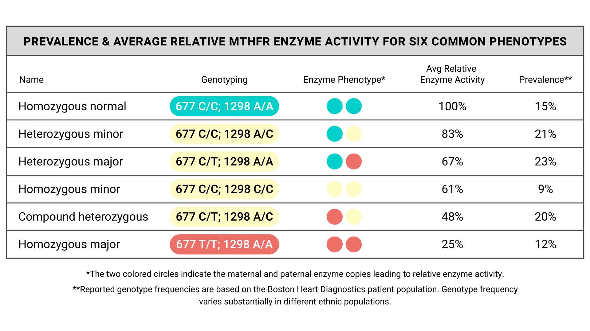 empowerdx-MTHFR-phenotypes-blog-graph.jpg