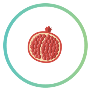 pomegranate_5 superfoods article food icons 300x300.png