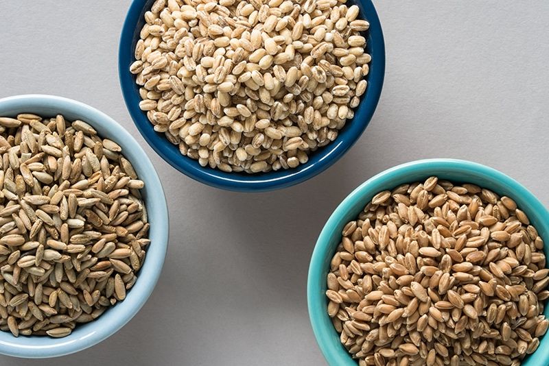 wheat barley rye, top view, raw grains in bowls.jpg